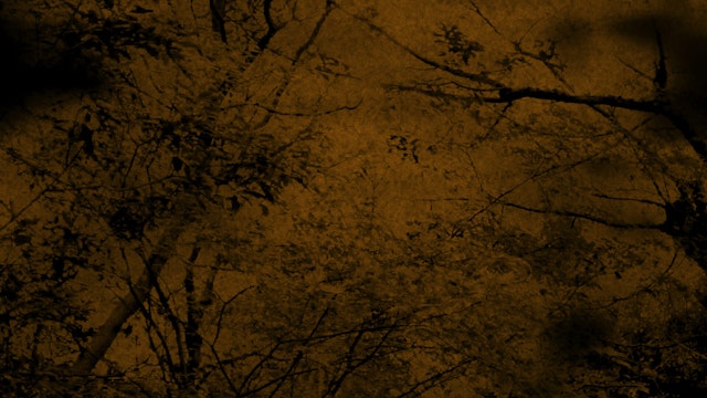 ホラーな森の背景(5種)のサムネイル１枚目