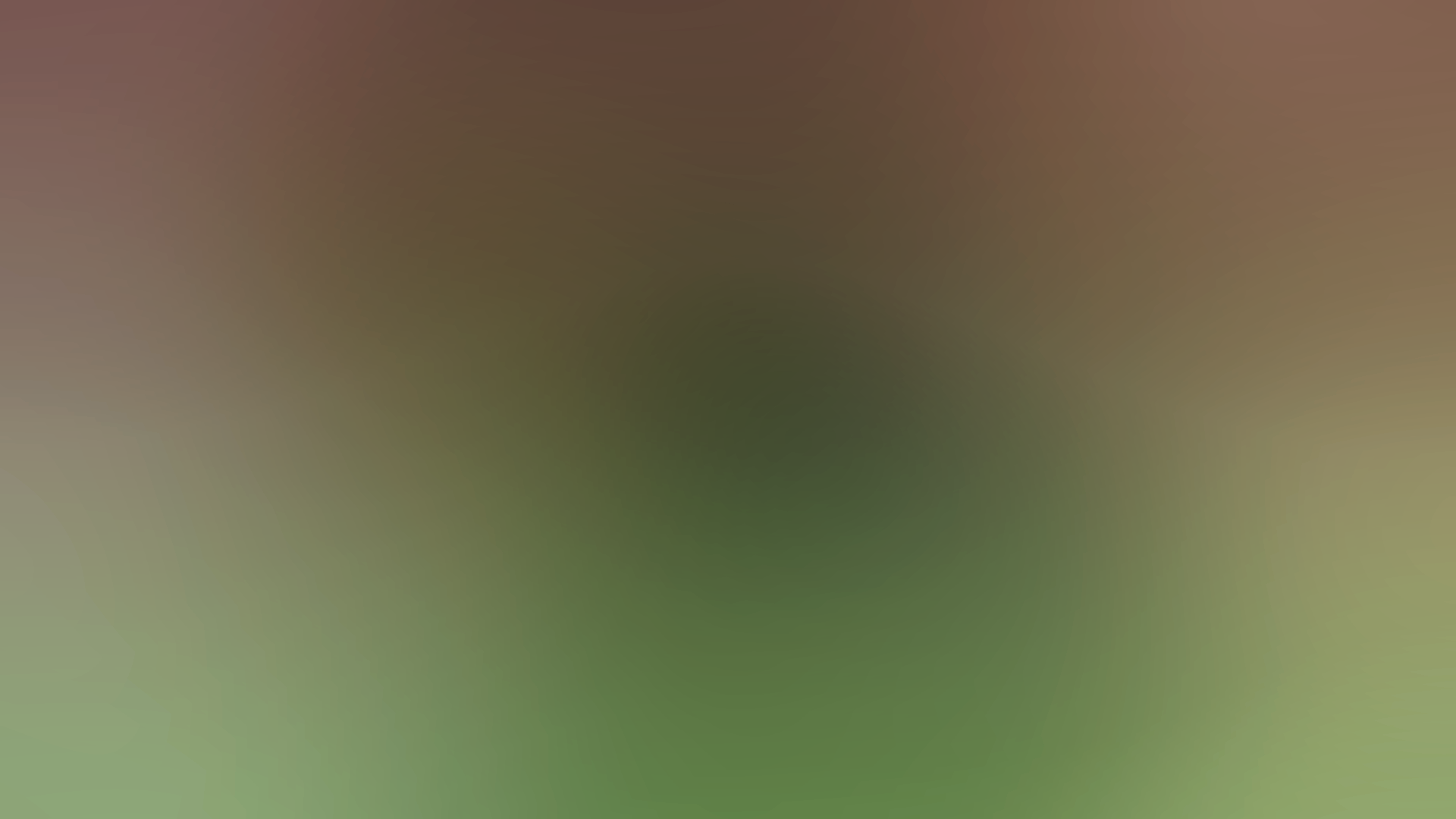 商品説明画像0187ae34-c887-ed0a-4eb1-35cc4b59d004