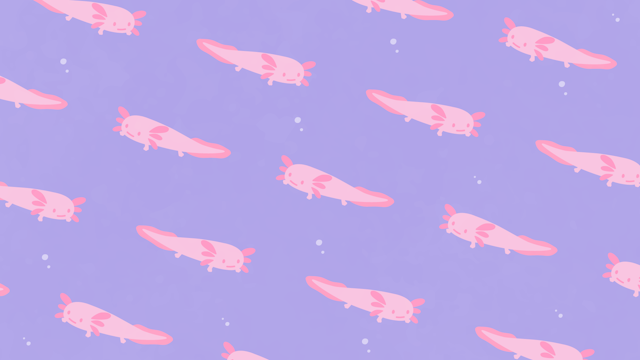 ウーパールーパー柄の背景(10種)のサムネイル２枚目