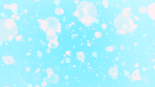 商品説明画像0187ae1d-d10d-0c5f-bde7-a2c9bfc76886