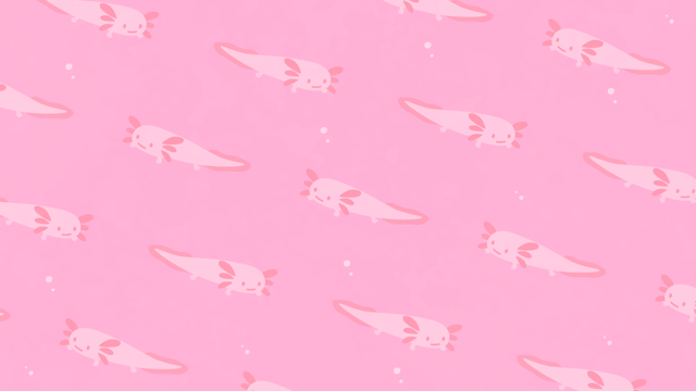 ウーパールーパー柄の背景(10種)のサムネイル１枚目