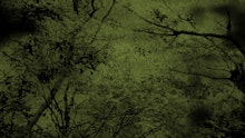 商品説明画像0187a41f-7776-6efe-a0e6-53a9c04c574d