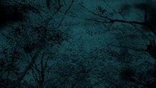 商品説明画像0187a41f-7718-095d-1cbd-76b16125fde6