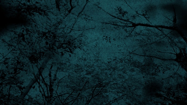 ホラーな森の背景(5種)のサムネイル２枚目