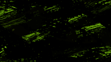 商品説明画像0187a7a5-c9c6-2304-df16-601fcfe790bf