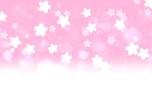 商品説明画像018caf93-7033-73d6-4899-fbaabc259d81