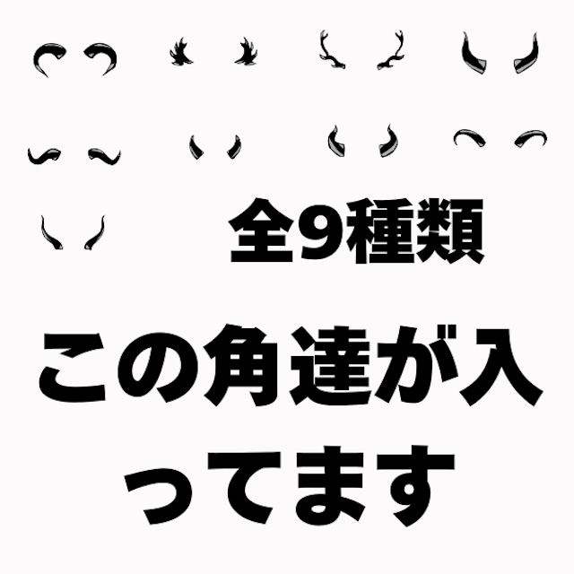 黒角セットのサムネイル２枚目